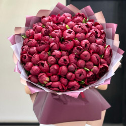 101 бордовый пион